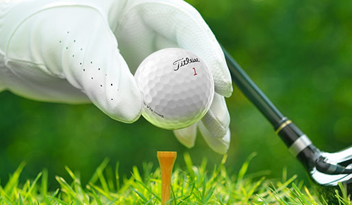 Recycled Titleist pro V1 in mint condition.